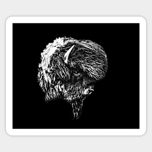 Bison head Sticker